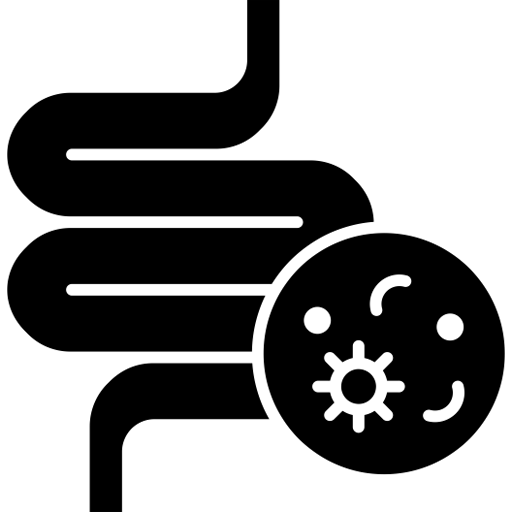 Gut Health Icon